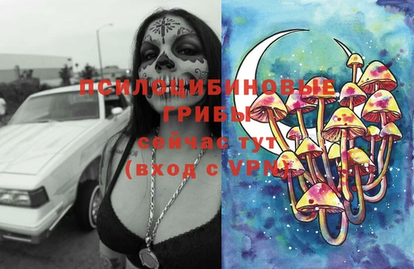 хмурый Алексеевка