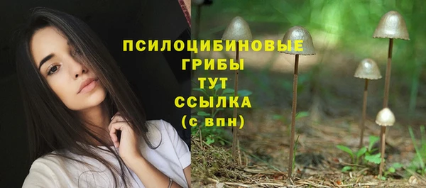 хмурый Алексеевка